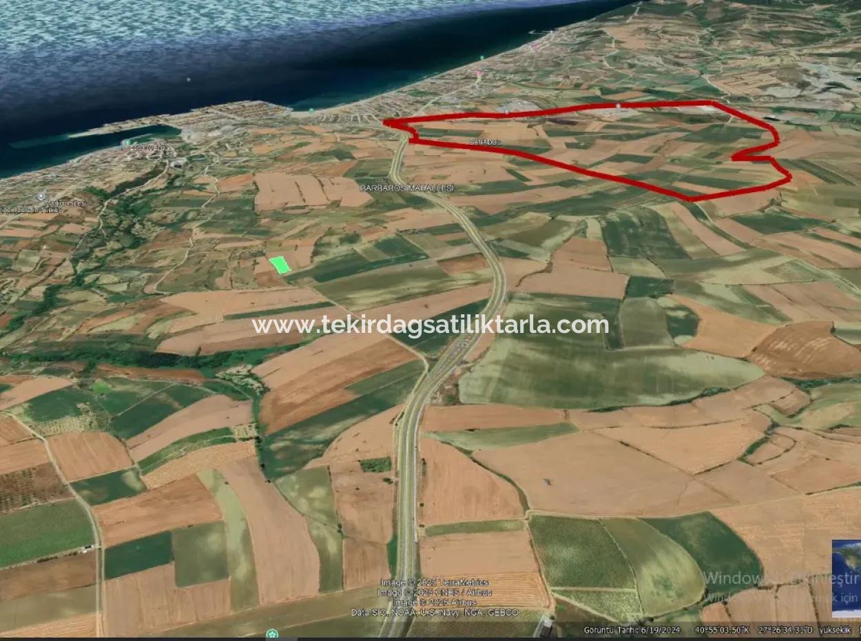 Asyaport Port Is A High Profit Guarantee Opportunity Land For Its Investors Within The Current Zoning Plan