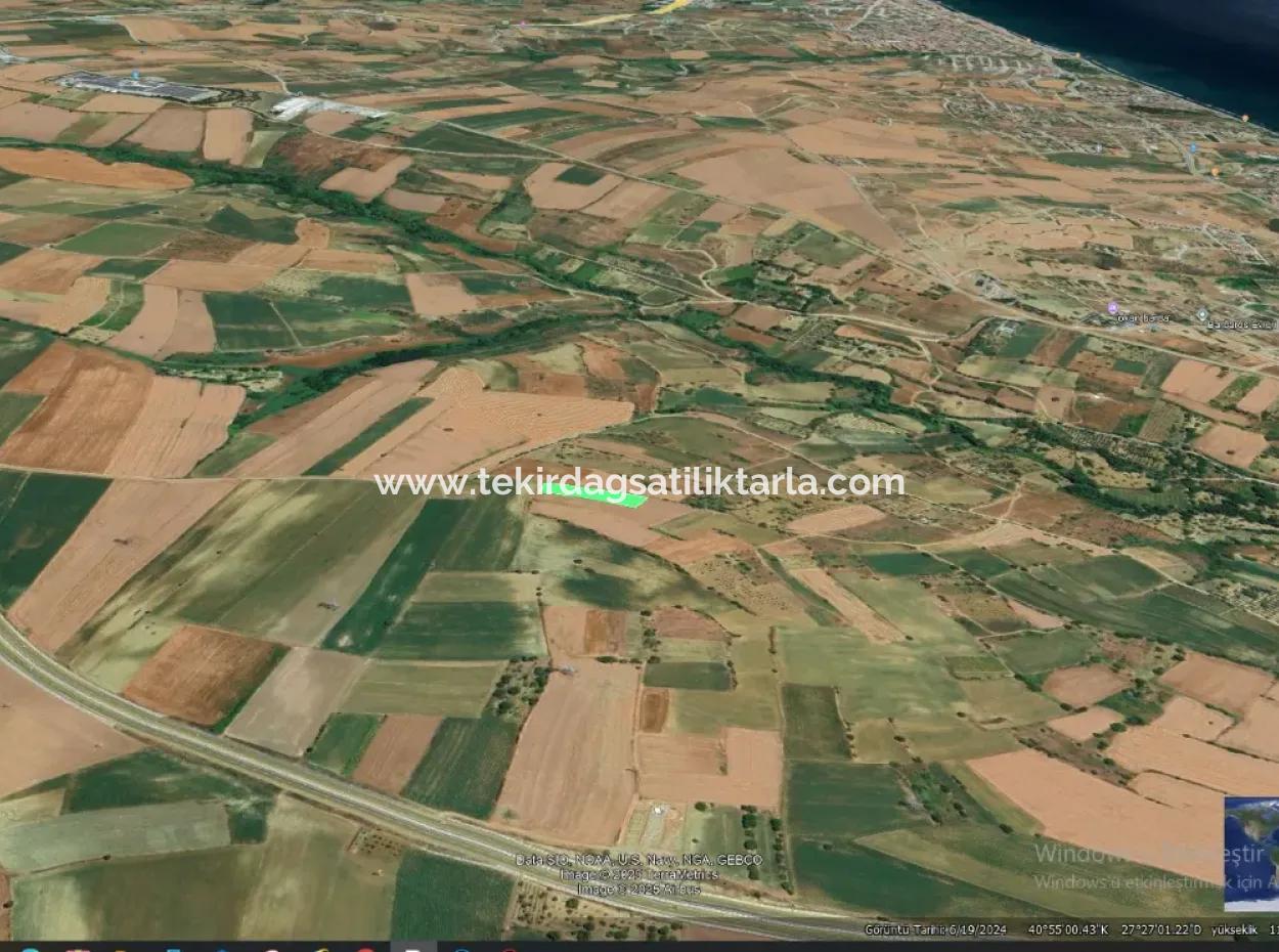 Asyaport Port Is A High Profit Guarantee Opportunity Land For Its Investors Within The Current Zoning Plan