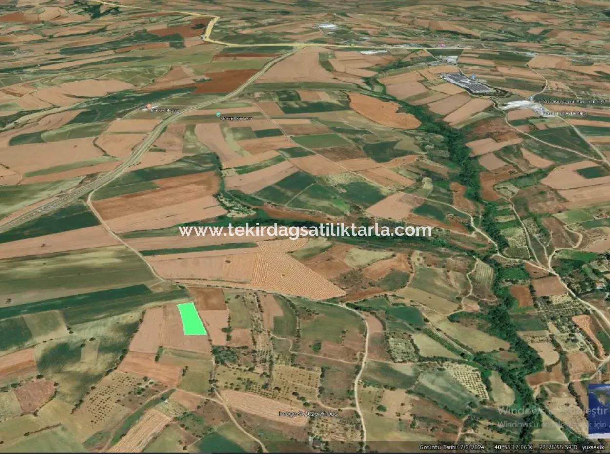 Asyaport Port Is A High Profit Guarantee Opportunity Land For Its Investors Within The Current Zoning Plan