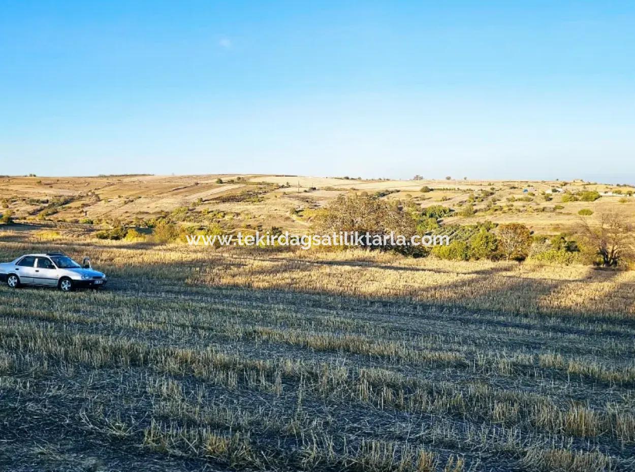 Asyaport Port Is A High Profit Guarantee Opportunity Land For Its Investors Within The Current Zoning Plan