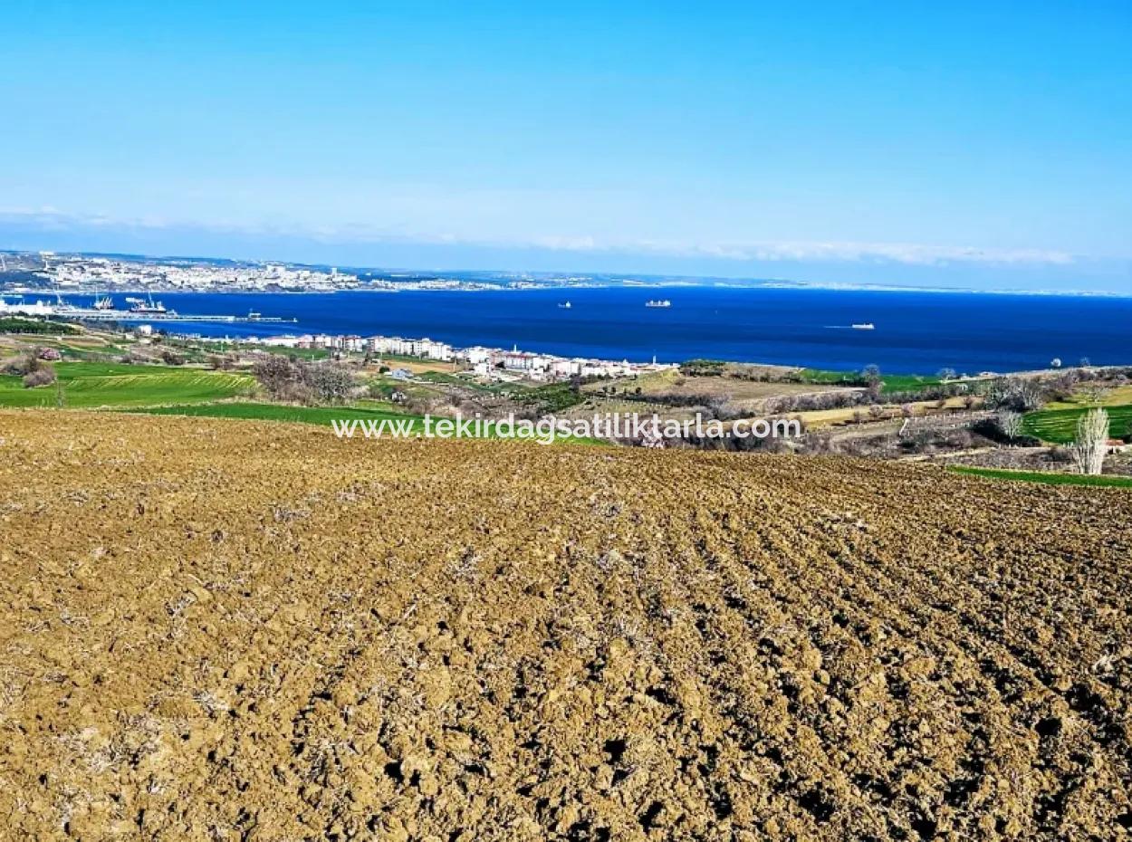 Tekirdag Barbarosta Luxury Villa Project Yap. Give A Flat To The Contractors And Make A High Profit Villa With Full Sea View Zoned Land