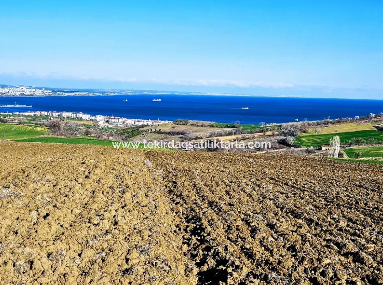 Tekirdag Barbarosta Luxury Villa Project Yap. Give A Flat To The Contractors And Make A High Profit Villa With Full Sea View Zoned Land