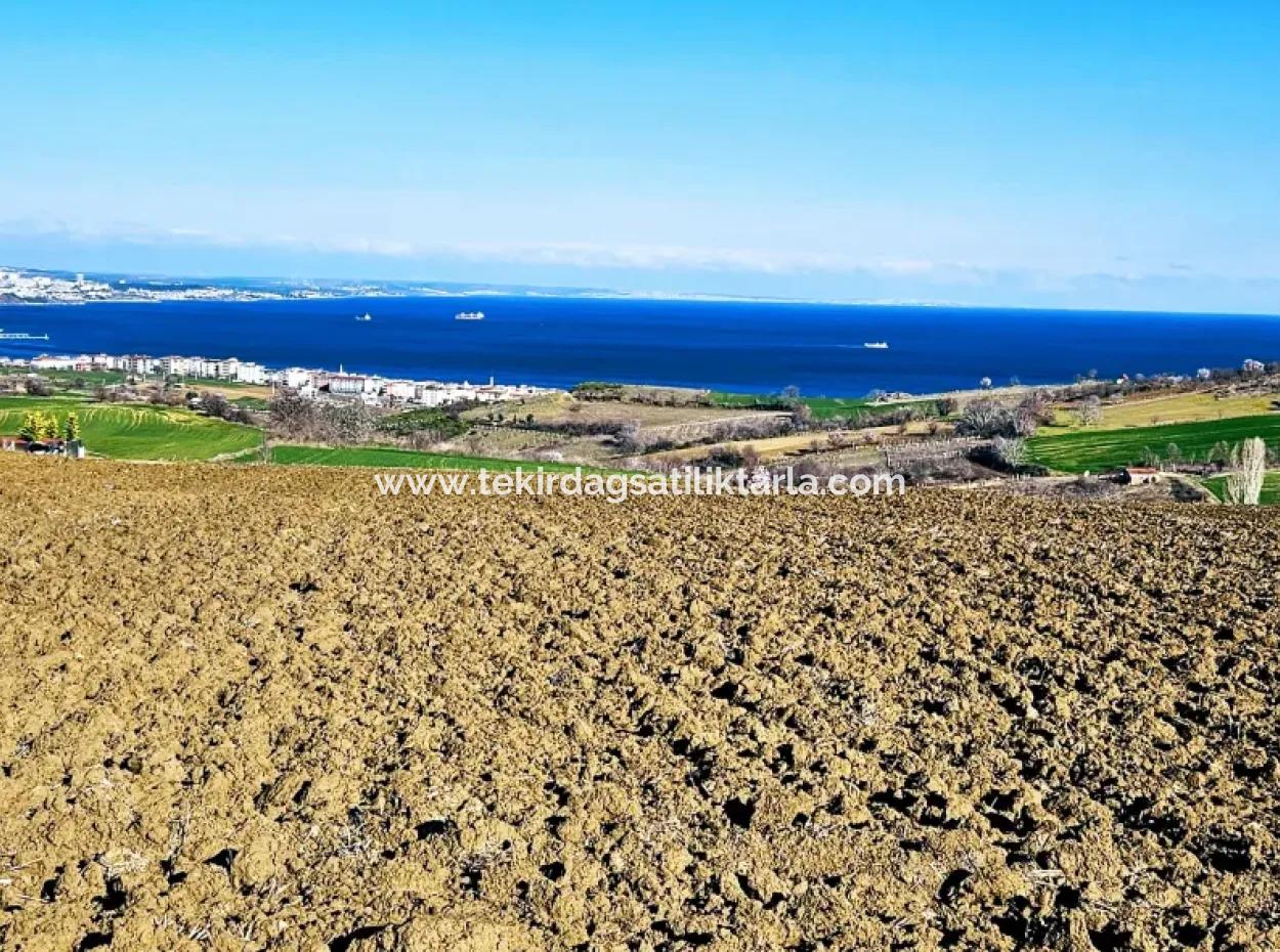 Tekirdag Barbarosta Luxury Villa Project Yap. Give A Flat To The Contractors And Make A High Profit Villa With Full Sea View Zoned Land