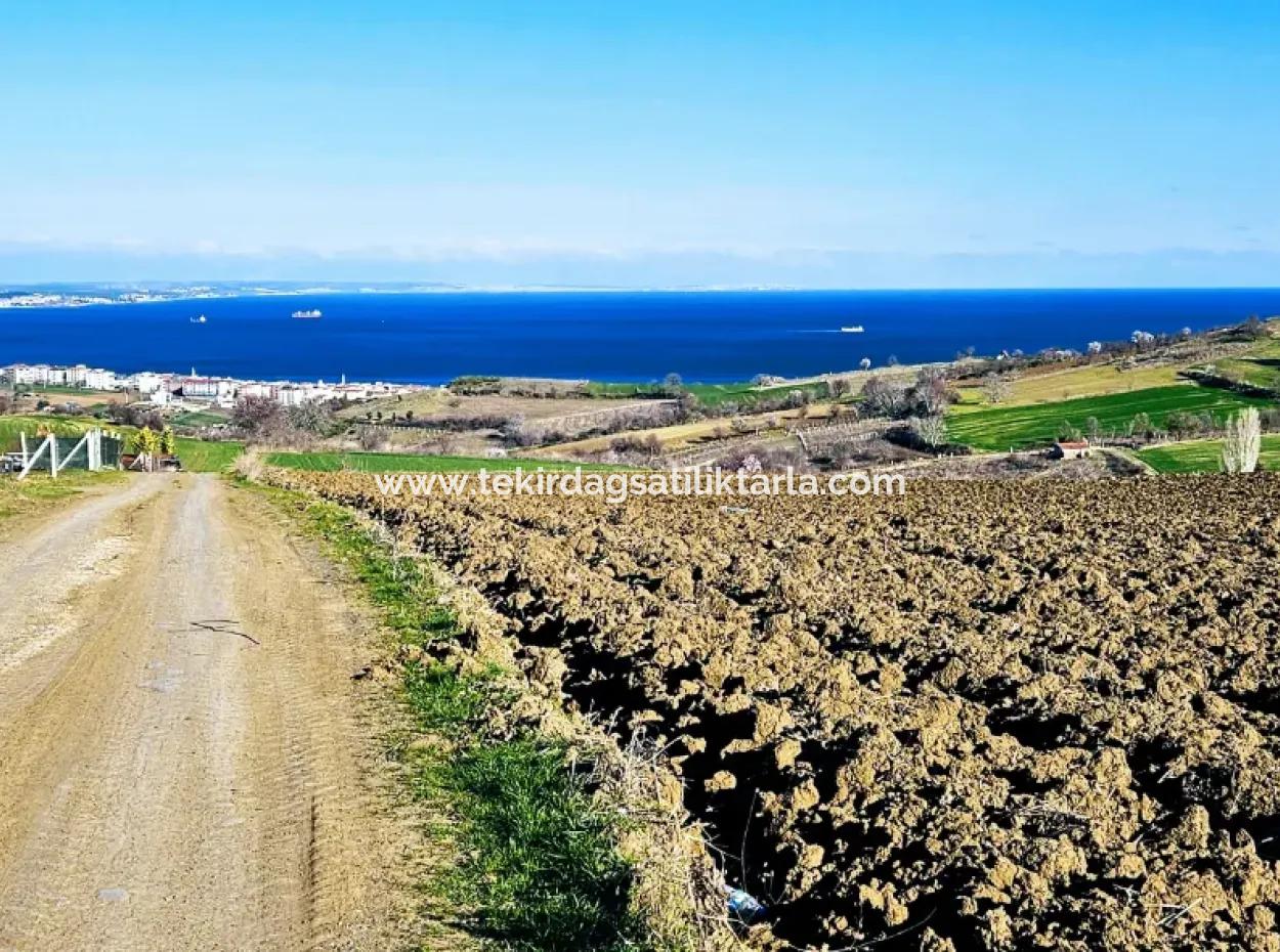 Tekirdag Barbarosta Luxury Villa Project Yap. Give A Flat To The Contractors And Make A High Profit Villa With Full Sea View Zoned Land