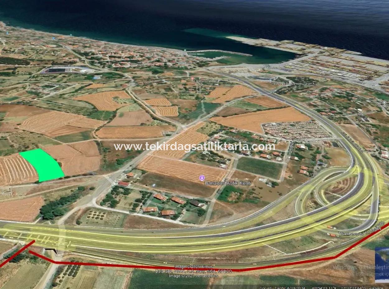 4.150 M2 Residential Zoned Field For Urgent Sale Just 1 Km From Asyaport Port