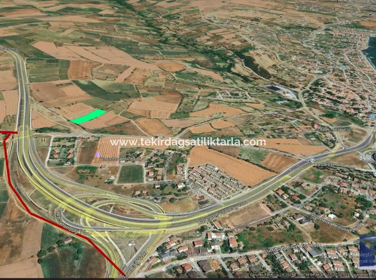 4.150 M2 Residential Zoned Field For Urgent Sale Just 1 Km From Asyaport Port