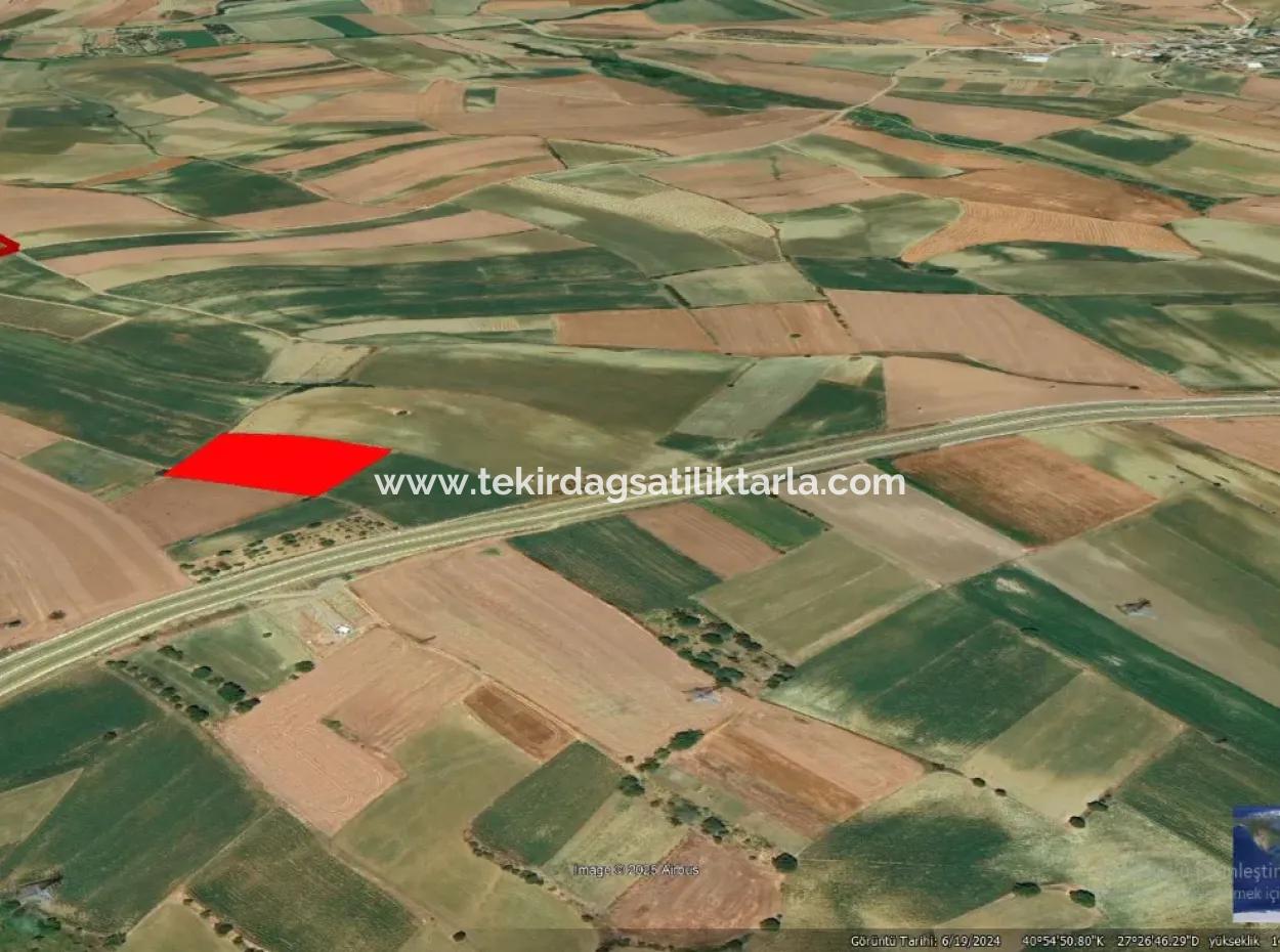 Commercial And Industrial Area Investment Opportunity Within The Current Zoning Plan Of Asyaport Port In Tekirdağ Barbaros Region