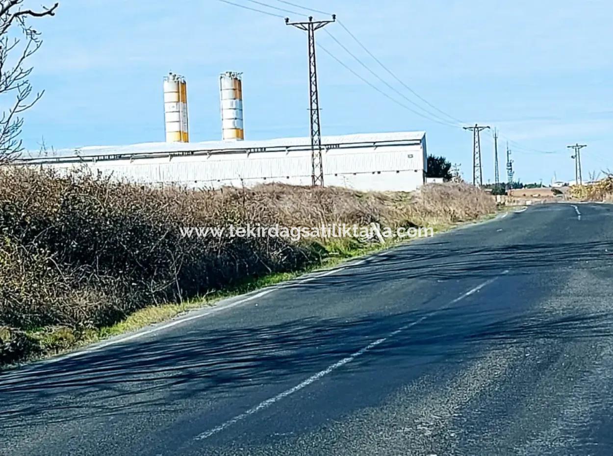 5.400 M2 High Profit Guaranteed Opportunity Place In The Area Of Factories For Urgent Sale