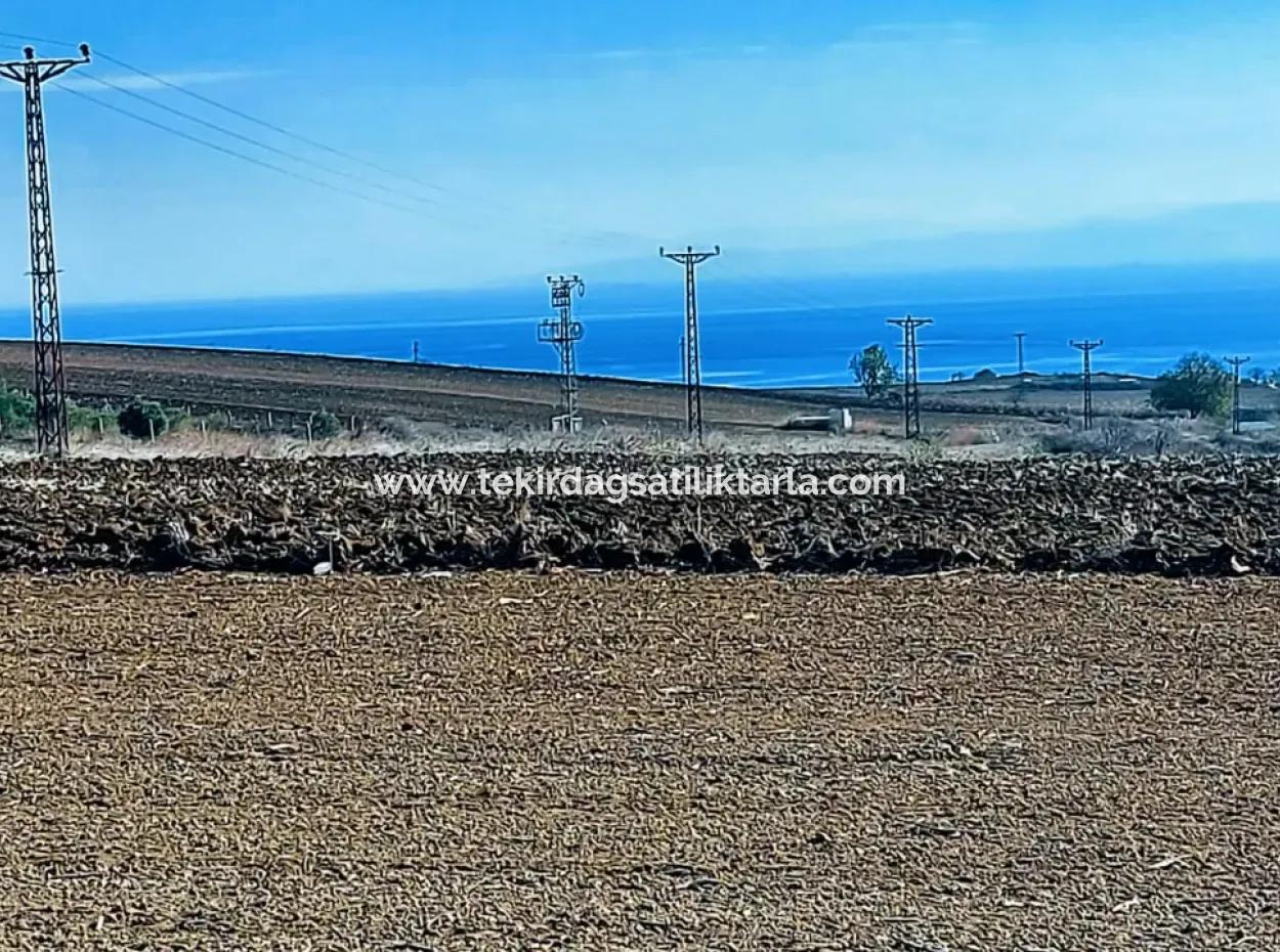 5.400 M2 High Profit Guaranteed Opportunity Place In The Area Of Factories For Urgent Sale