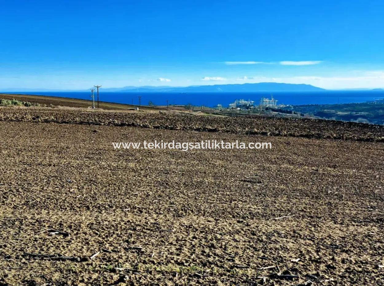 5.400 M2 High Profit Guaranteed Opportunity Place In The Area Of Factories For Urgent Sale