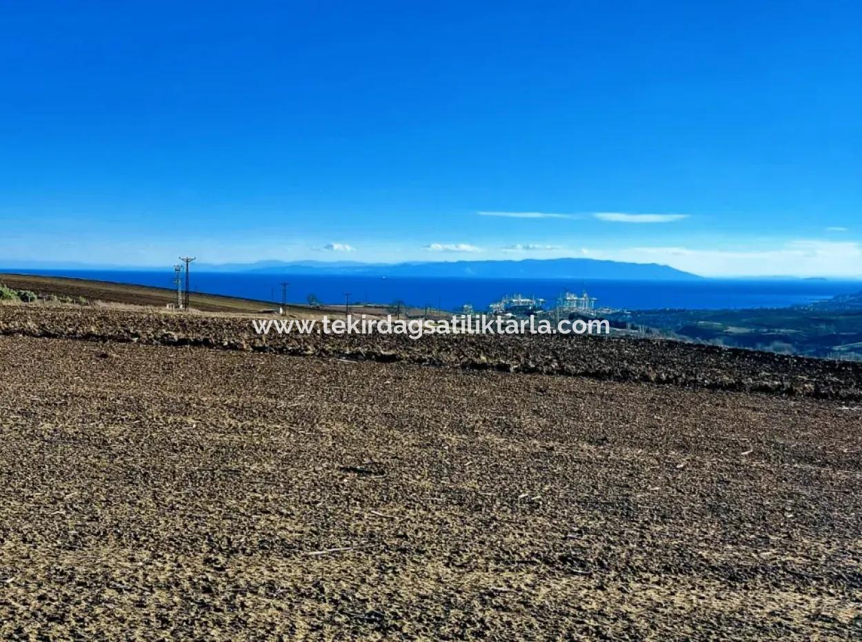 5.400 M2 High Profit Guaranteed Opportunity Place In The Area Of Factories For Urgent Sale