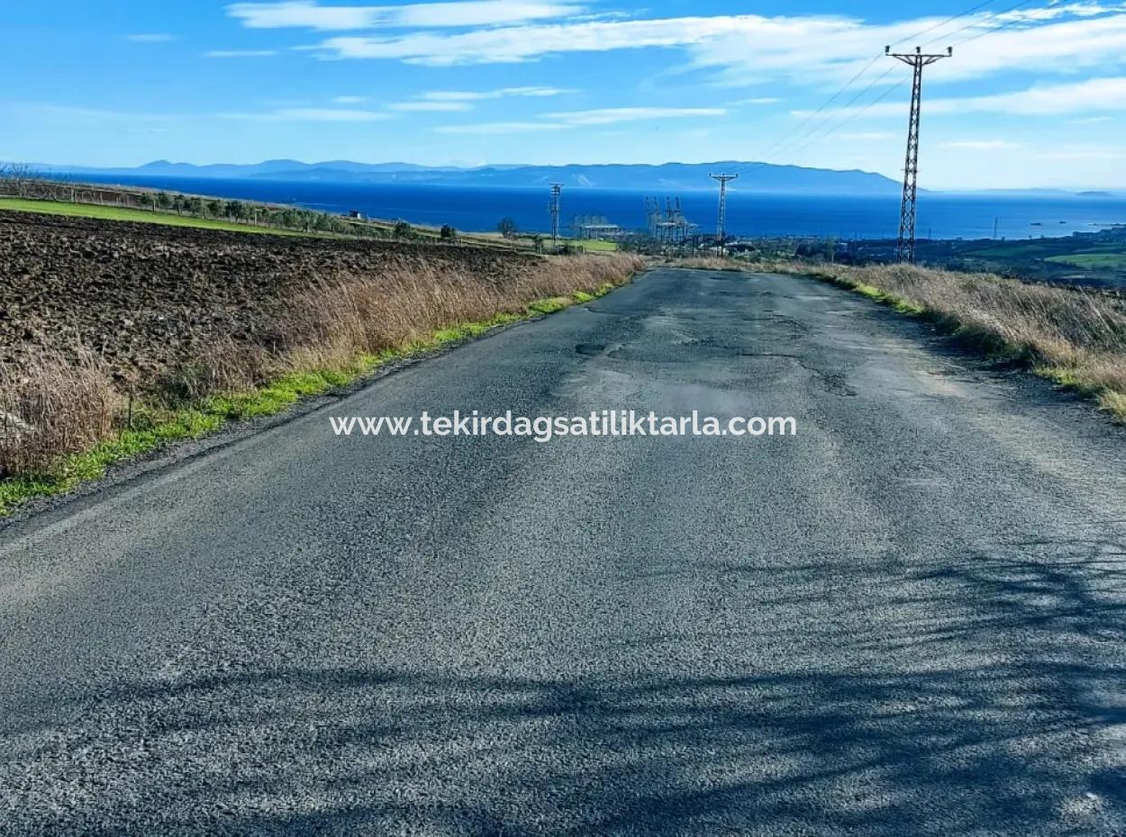 5.400 M2 High Profit Guaranteed Opportunity Place In The Area Of Factories For Urgent Sale