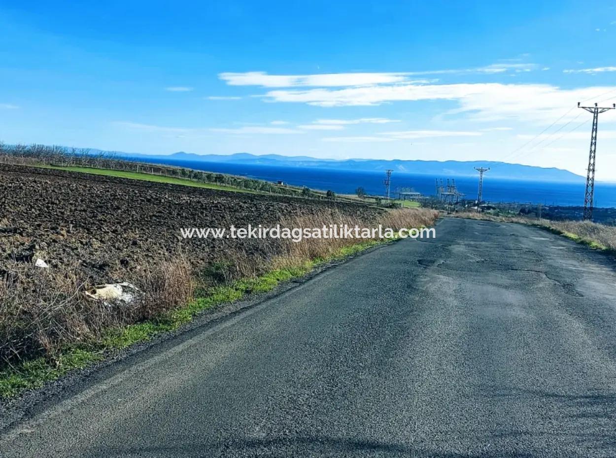 5.400 M2 High Profit Guaranteed Opportunity Place In The Area Of Factories For Urgent Sale