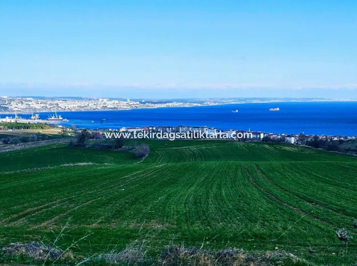 The Closest Region To Istanbul Is Tekirdag Barbarost 34,500 Opportunity Zoned Land Suitable For Building 75 Luxury Villas With Full Sea And Nature Views