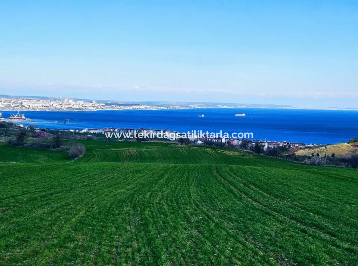 The Closest Region To Istanbul Is Tekirdag Barbarost 34,500 Opportunity Zoned Land Suitable For Building 75 Luxury Villas With Full Sea And Nature Views