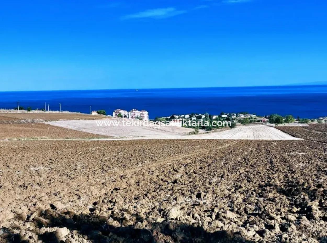 High Profit Guarantee Invest In 44 Flats Of Mass Housing Area Give To Contractors Double Your Profits