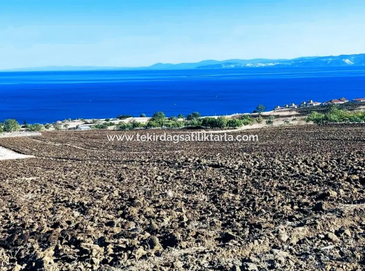 High Profit Guarantee Invest In 44 Flats Of Mass Housing Area Give To Contractors Double Your Profits