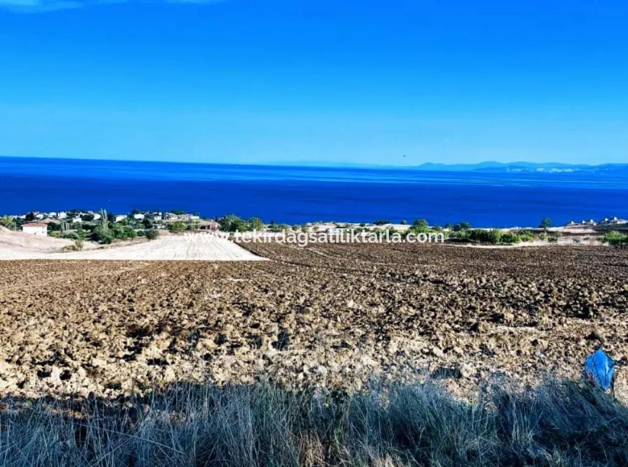 High Profit Guarantee Invest In 44 Flats Of Mass Housing Area Give To Contractors Double Your Profits