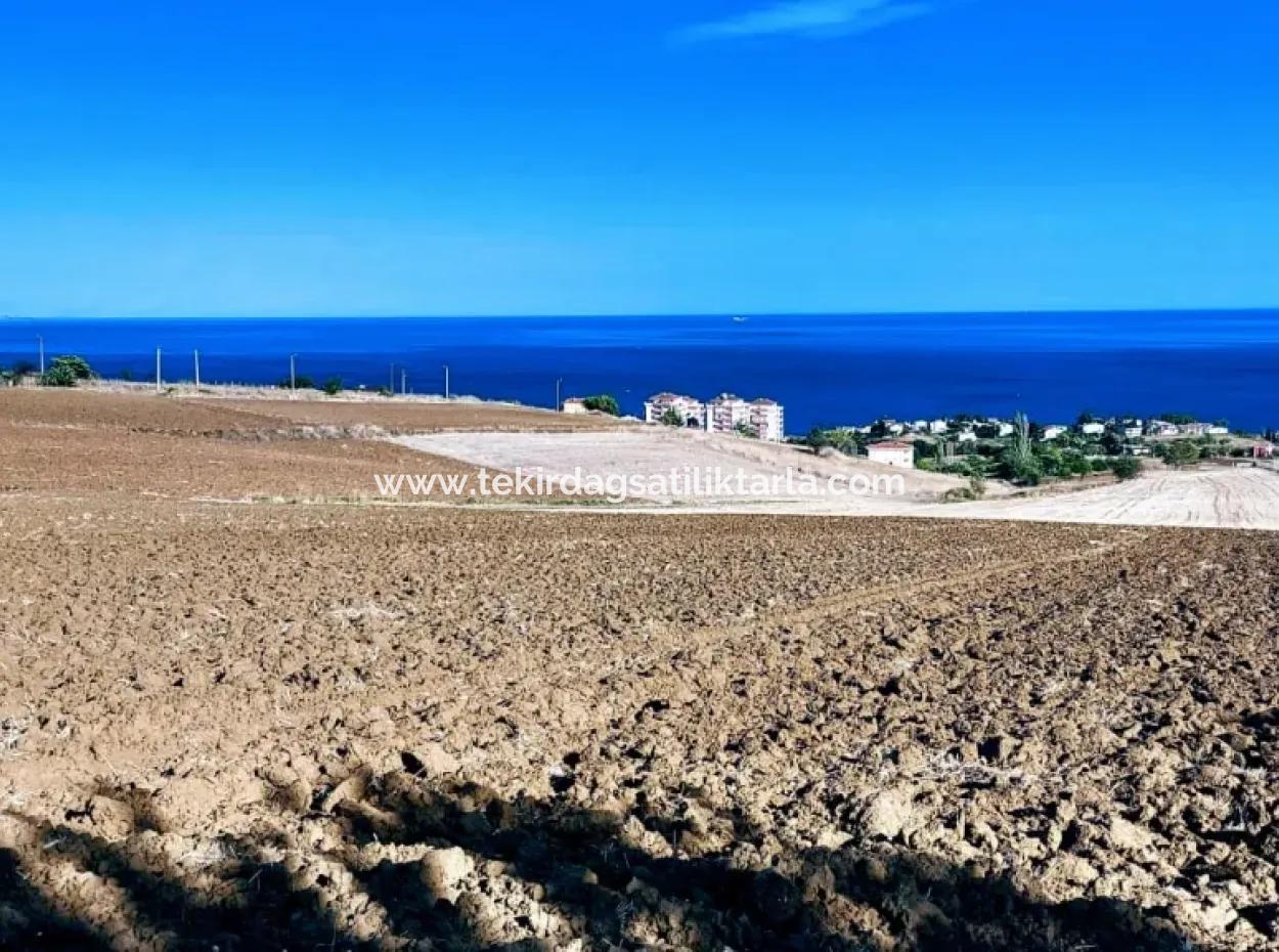 High Profit Guarantee Invest In 44 Flats Of Mass Housing Area Give To Contractors Double Your Profits