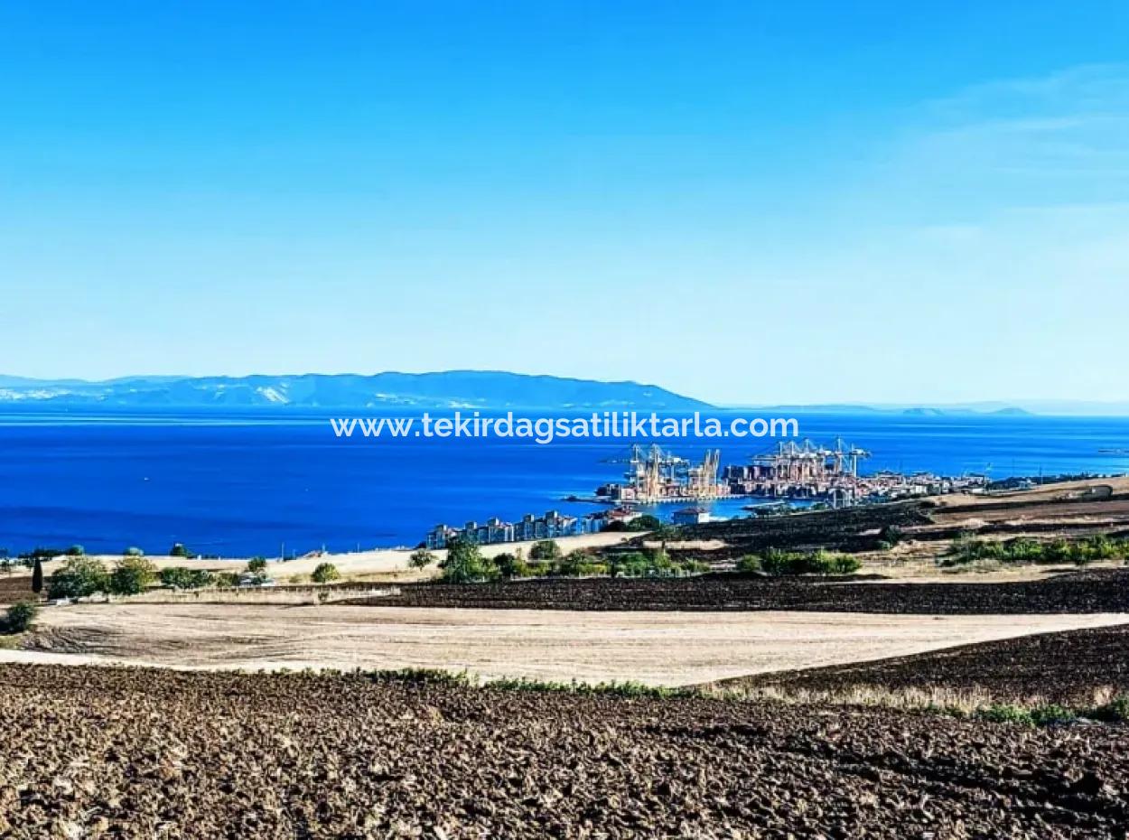 High Profit Guarantee Invest In 44 Flats Of Mass Housing Area Give To Contractors Double Your Profits