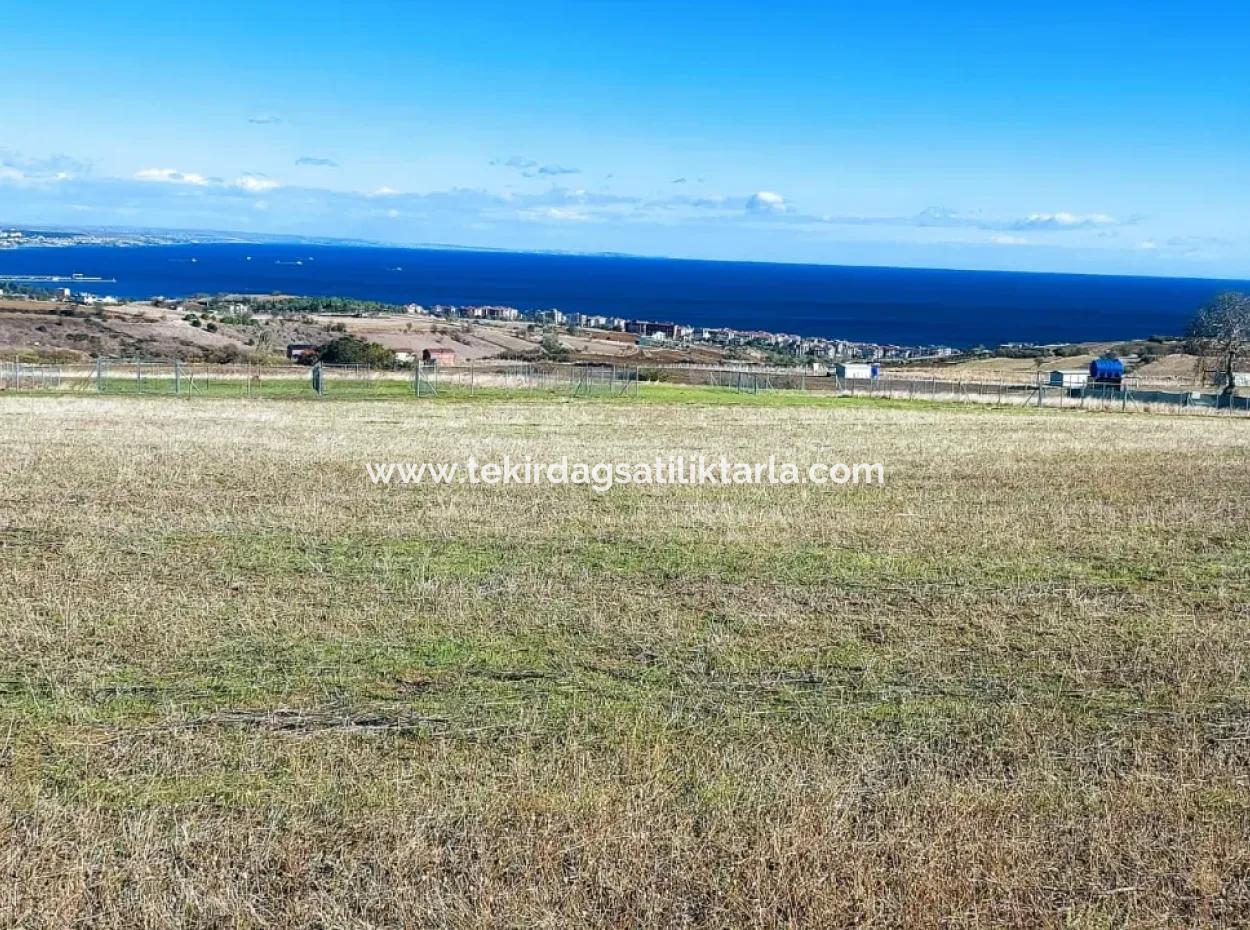 Apply Luxury Villa Project For Urgent Sale Provide High Kaznç Location Magnificent Completely Full Sea And Nature View