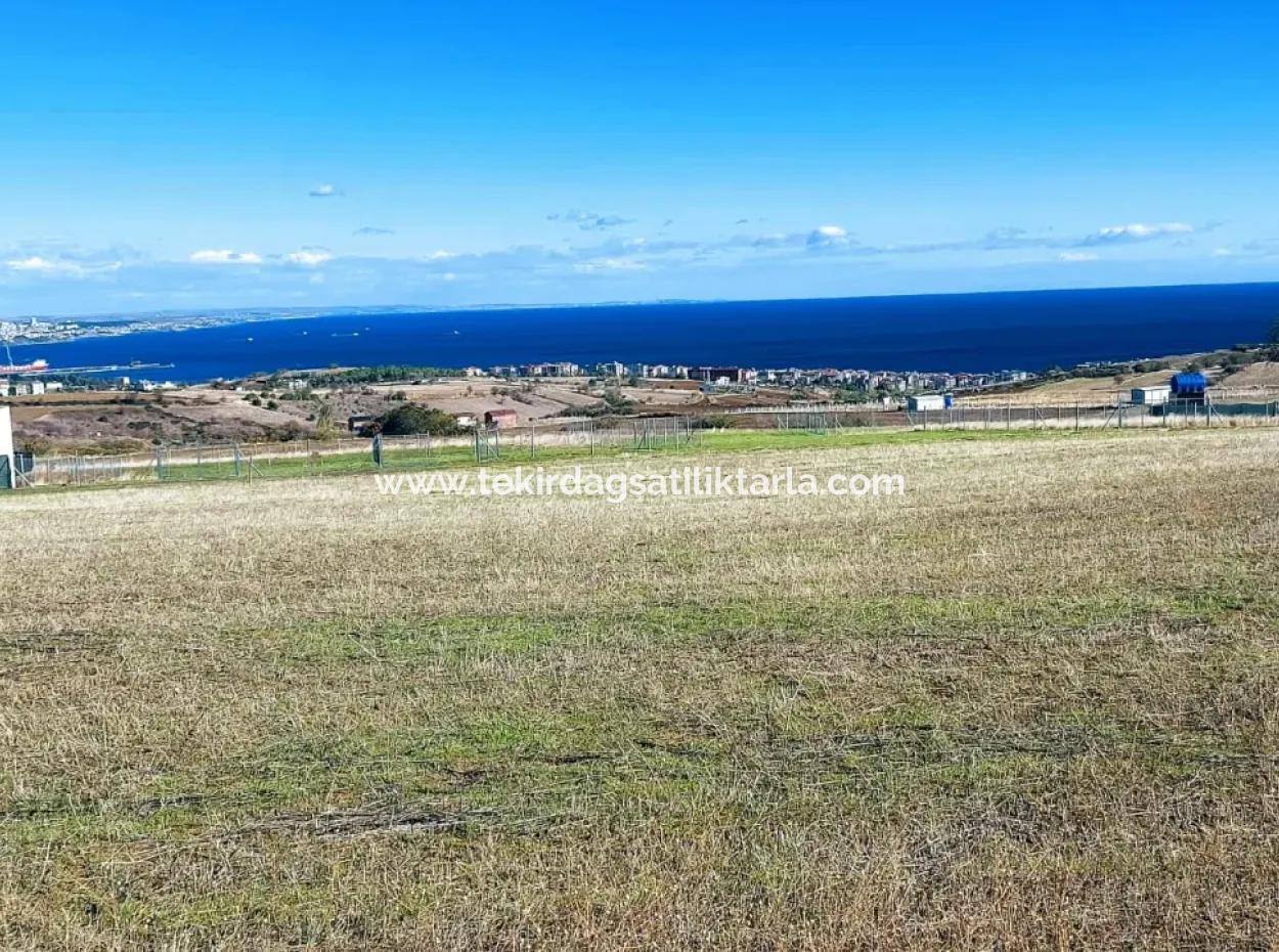 Apply Luxury Villa Project For Urgent Sale Provide High Kaznç Location Magnificent Completely Full Sea And Nature View