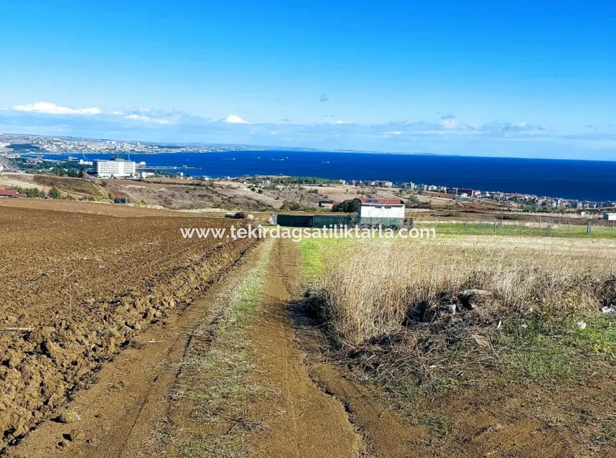 Apply Luxury Villa Project For Urgent Sale Provide High Kaznç Location Magnificent Completely Full Sea And Nature View