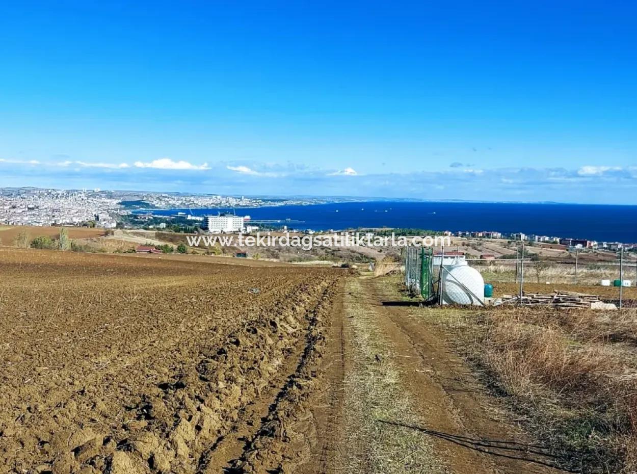 Apply Luxury Villa Project For Urgent Sale Provide High Kaznç Location Magnificent Completely Full Sea And Nature View