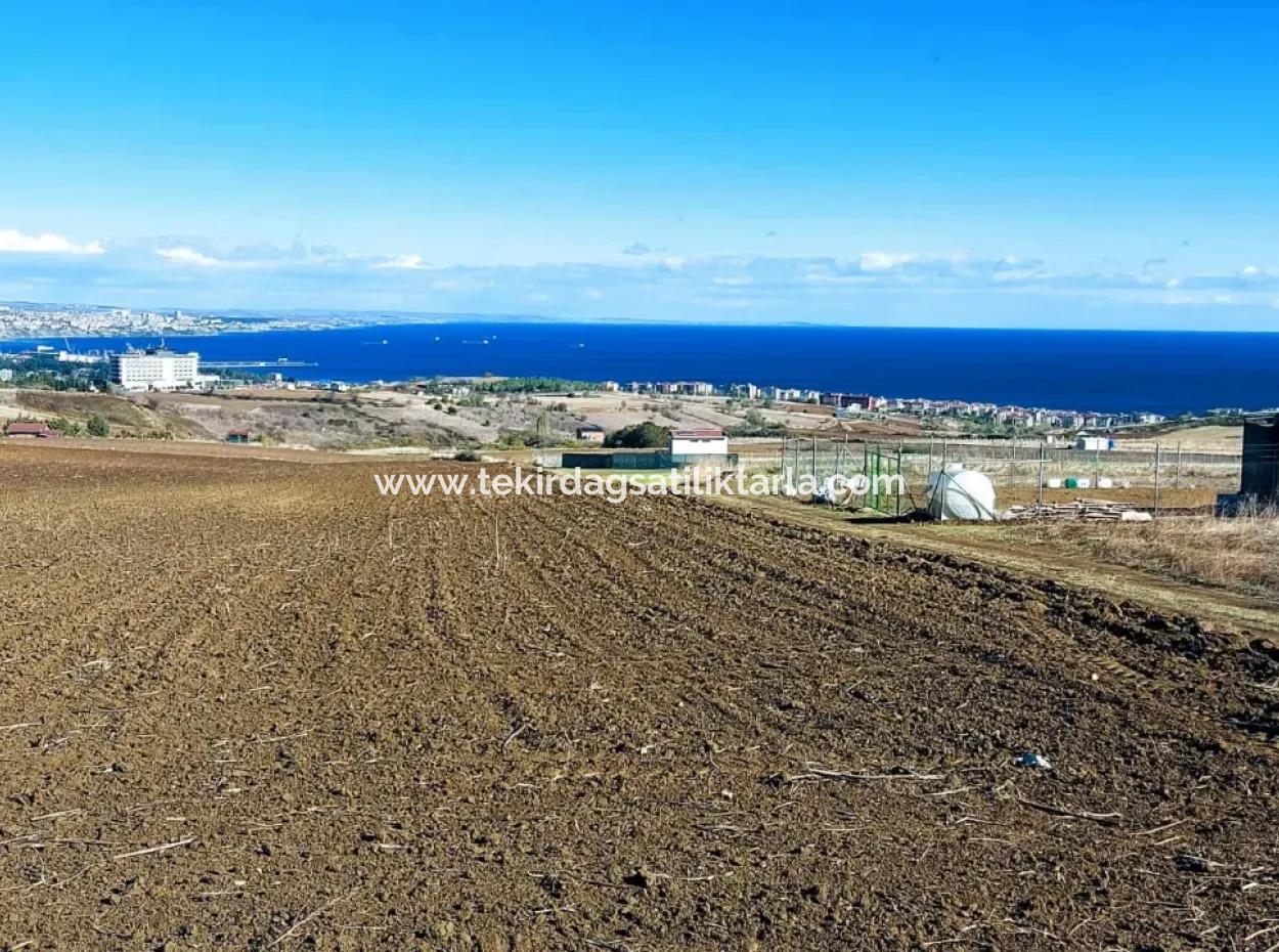 Apply Luxury Villa Project For Urgent Sale Provide High Kaznç Location Magnificent Completely Full Sea And Nature View