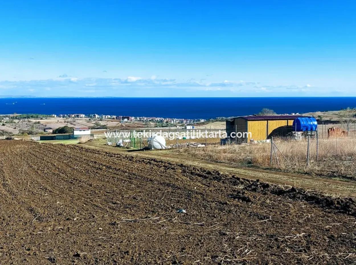 Apply Luxury Villa Project For Urgent Sale Provide High Kaznç Location Magnificent Completely Full Sea And Nature View