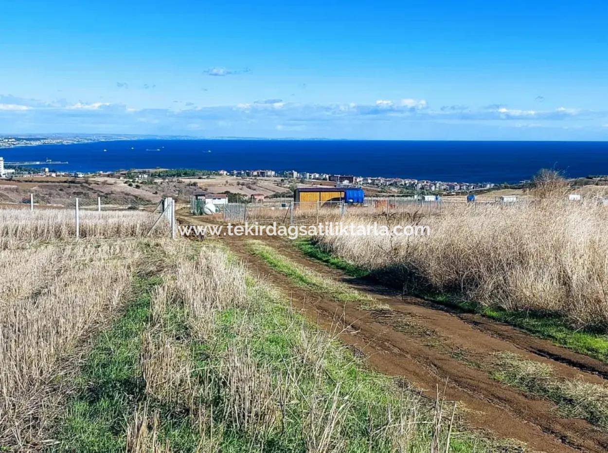 Apply Luxury Villa Project For Urgent Sale Provide High Kaznç Location Magnificent Completely Full Sea And Nature View