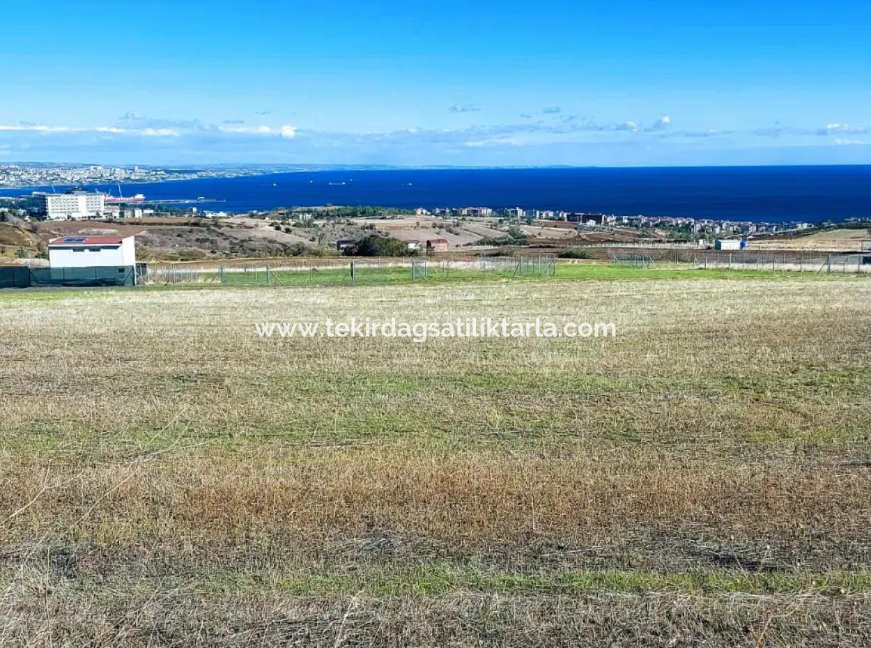 Apply Luxury Villa Project For Urgent Sale Provide High Kaznç Location Magnificent Completely Full Sea And Nature View
