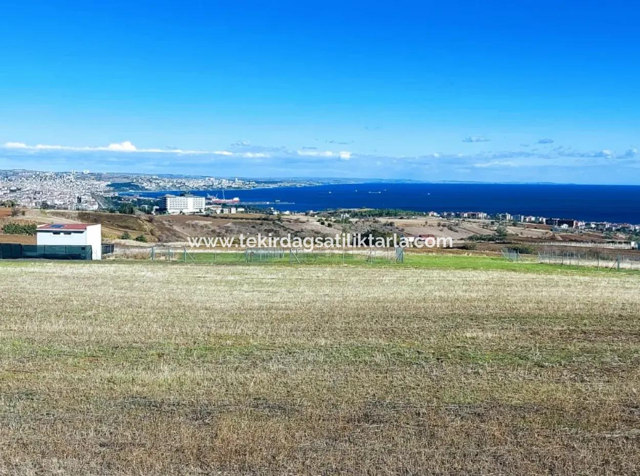 Apply Luxury Villa Project For Urgent Sale Provide High Kaznç Location Magnificent Completely Full Sea And Nature View