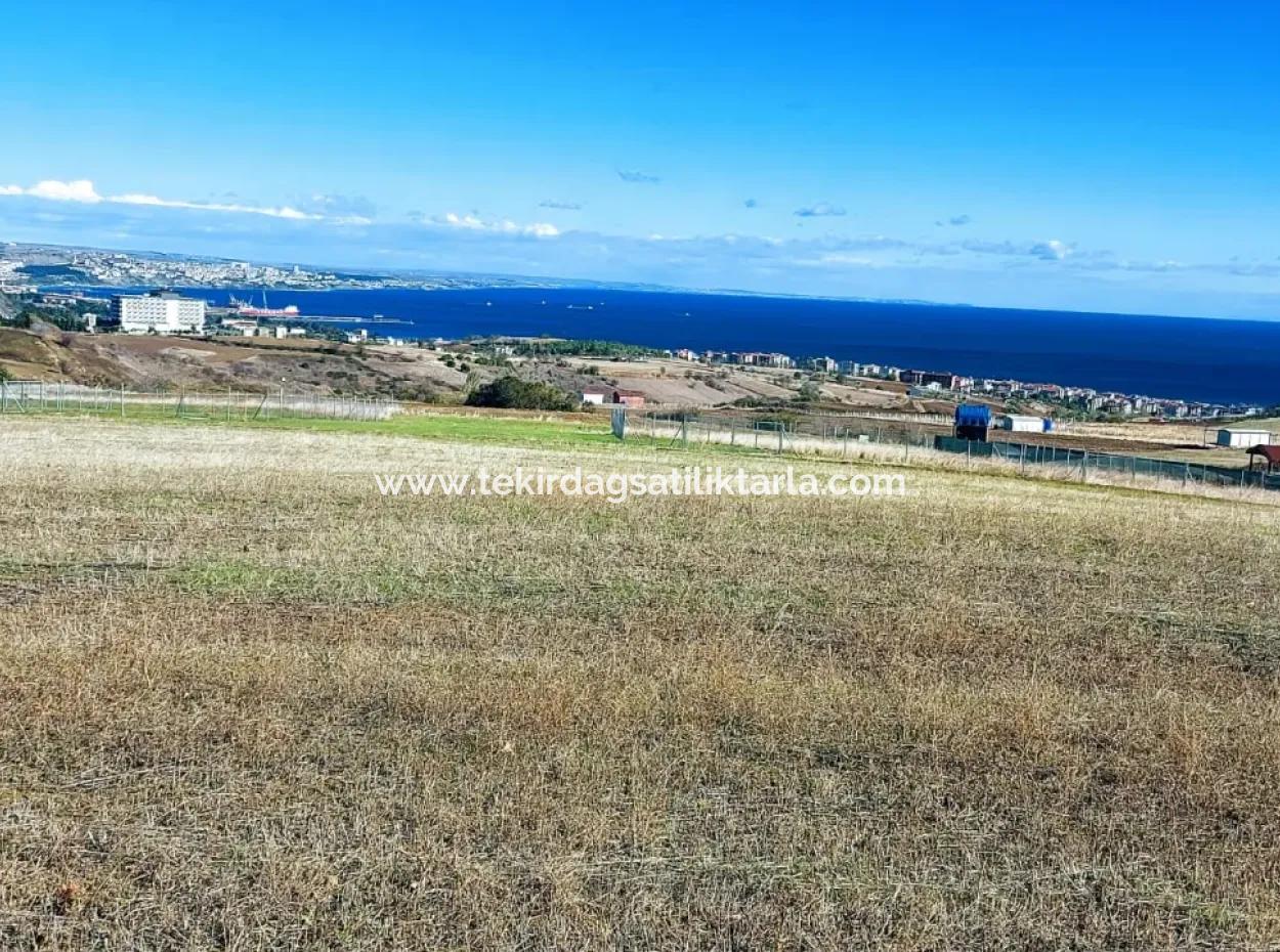 Apply Luxury Villa Project For Urgent Sale Provide High Kaznç Location Magnificent Completely Full Sea And Nature View