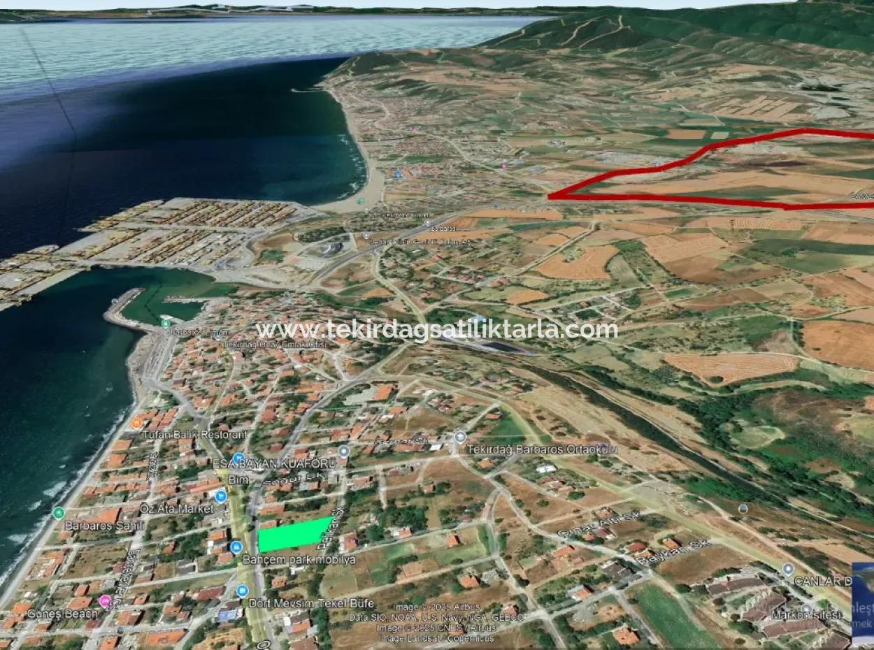 Tekirdag Barbarosta Urgent Sale Main Road Fronted Commercial Residential Zoning [ Adjacent Layout ] 85 Flats High Profit Guarantee