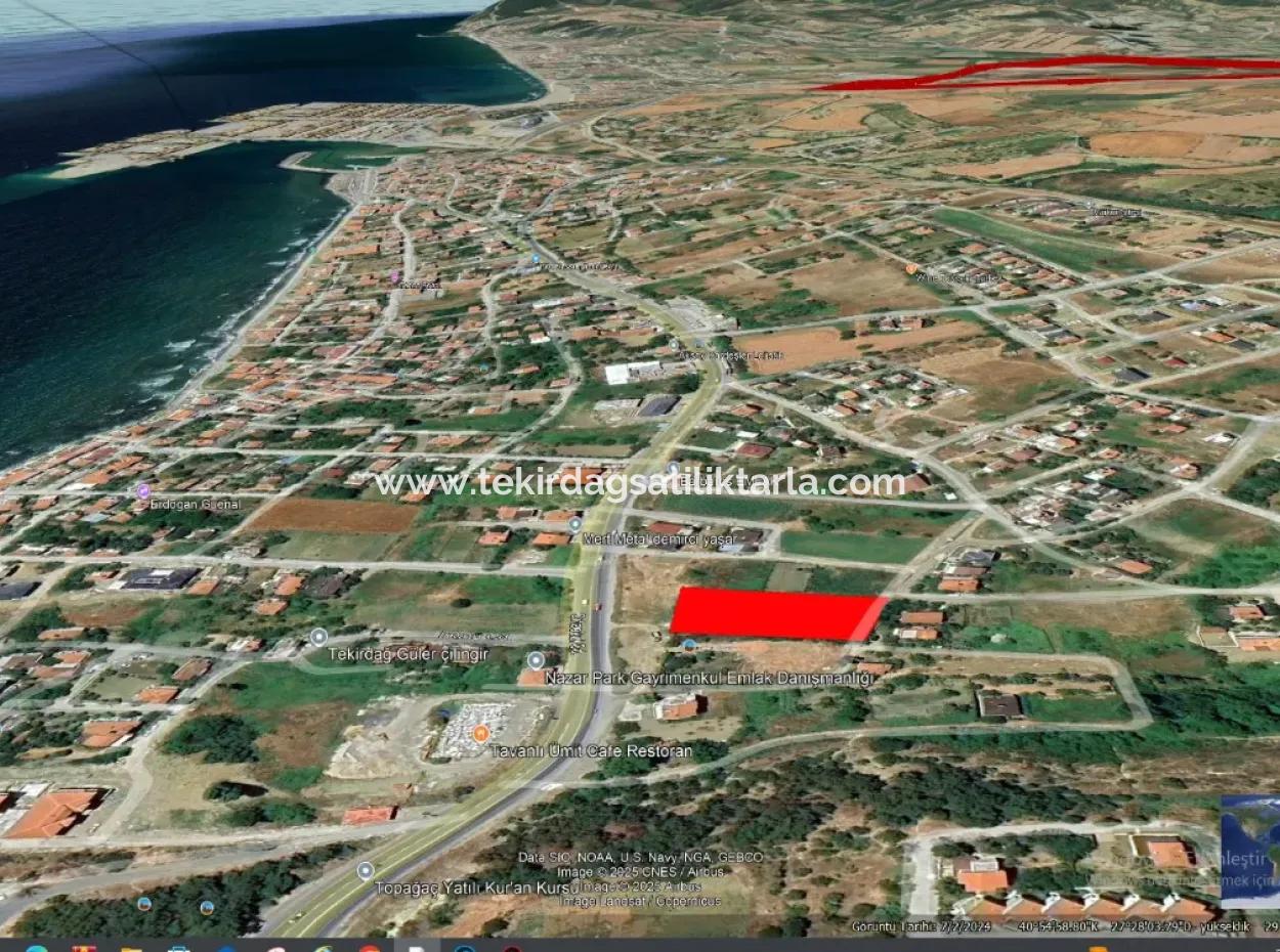 Apply A Great Project For Urgent Sale In Tekirdag Barbarosta Make A High Profit 24 Flat Coupon Plot