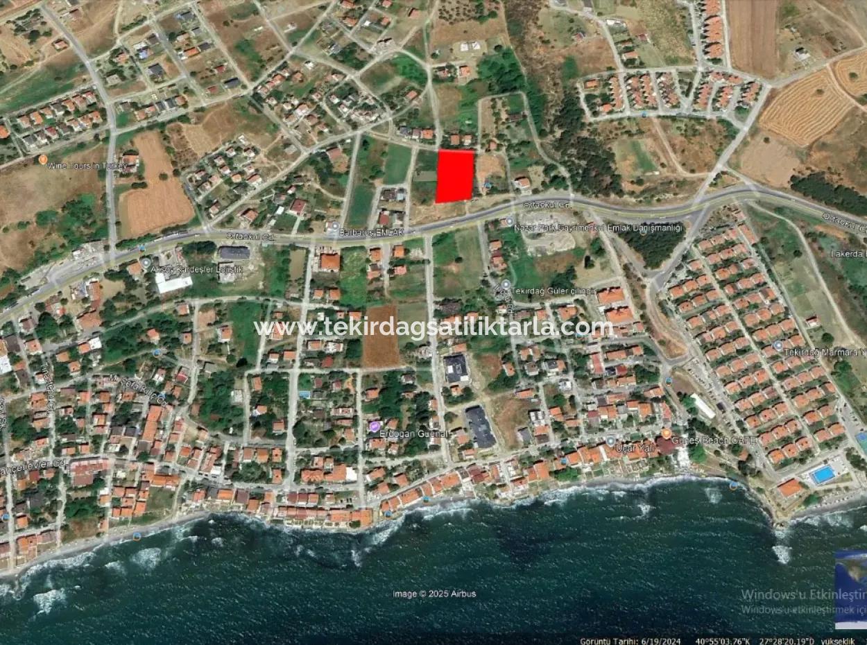 Apply A Great Project For Urgent Sale In Tekirdag Barbarosta Make A High Profit 24 Flat Coupon Plot