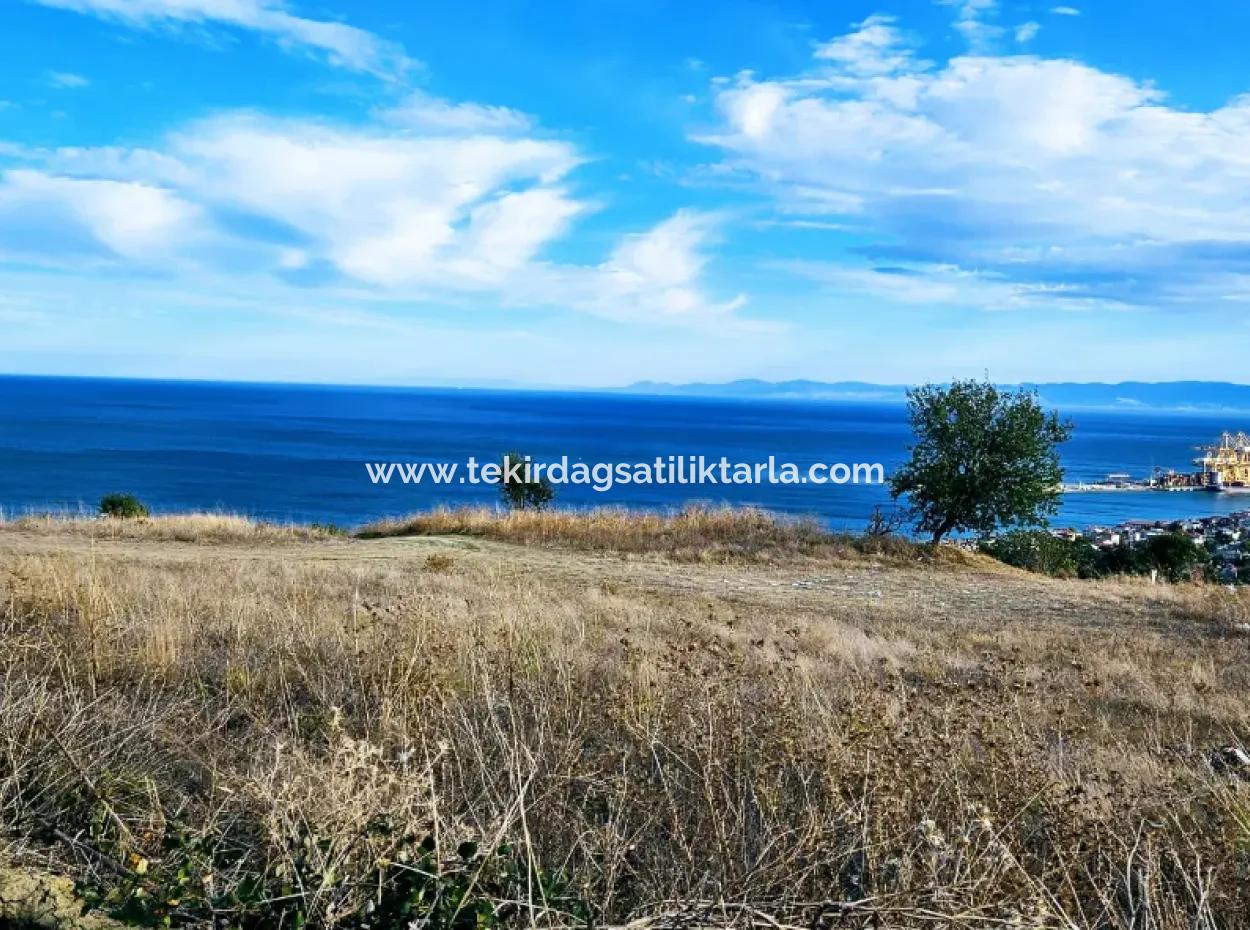 3.300 M2 Net Land Suitable For The Construction Of A Cooperative Site With Full Sea View For Urgent Sale In Tekirdag Barbarosta