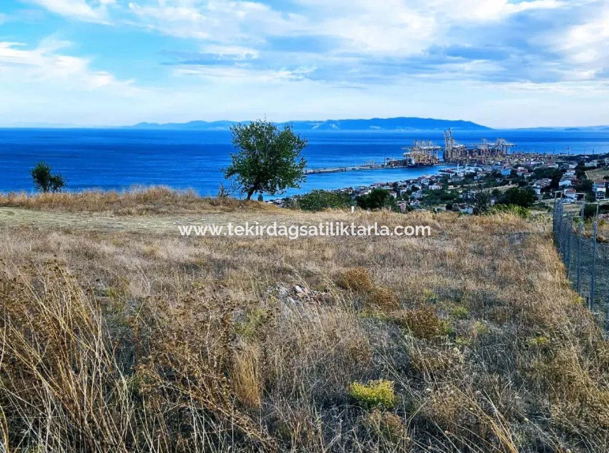 3.300 M2 Net Land Suitable For The Construction Of A Cooperative Site With Full Sea View For Urgent Sale In Tekirdag Barbarosta