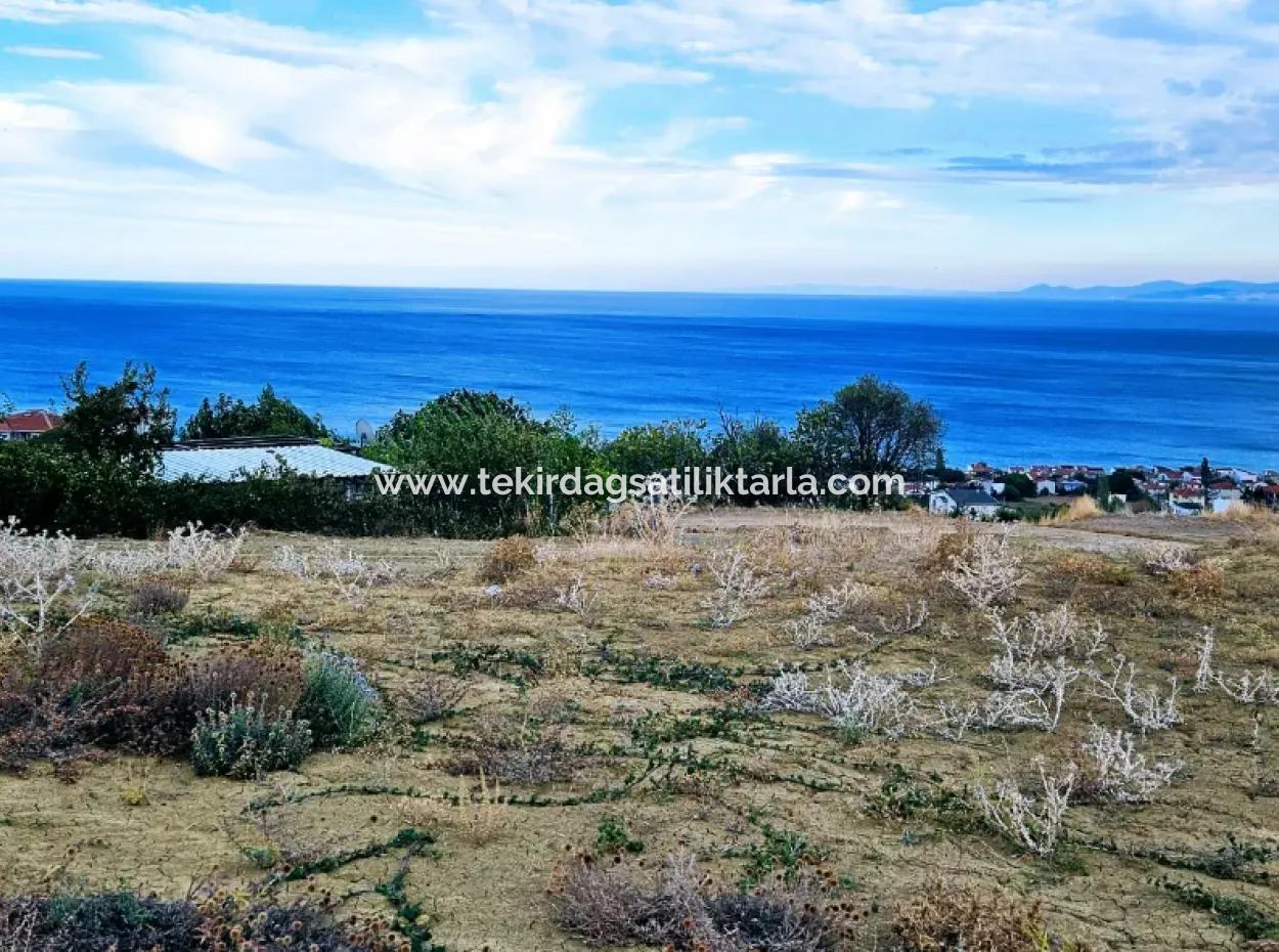 3.300 M2 Net Land Suitable For The Construction Of A Cooperative Site With Full Sea View For Urgent Sale In Tekirdag Barbarosta