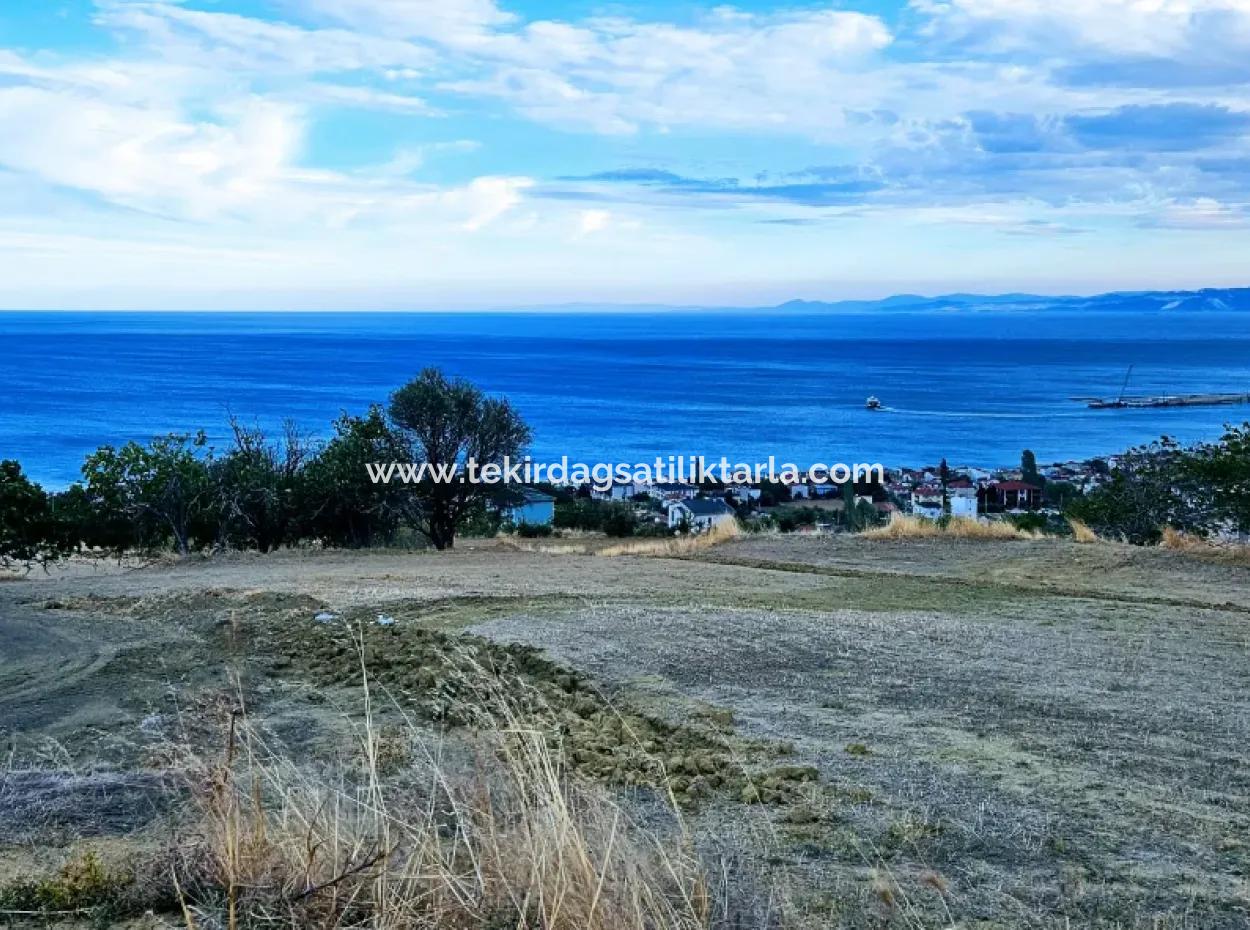 3.300 M2 Net Land Suitable For The Construction Of A Cooperative Site With Full Sea View For Urgent Sale In Tekirdag Barbarosta