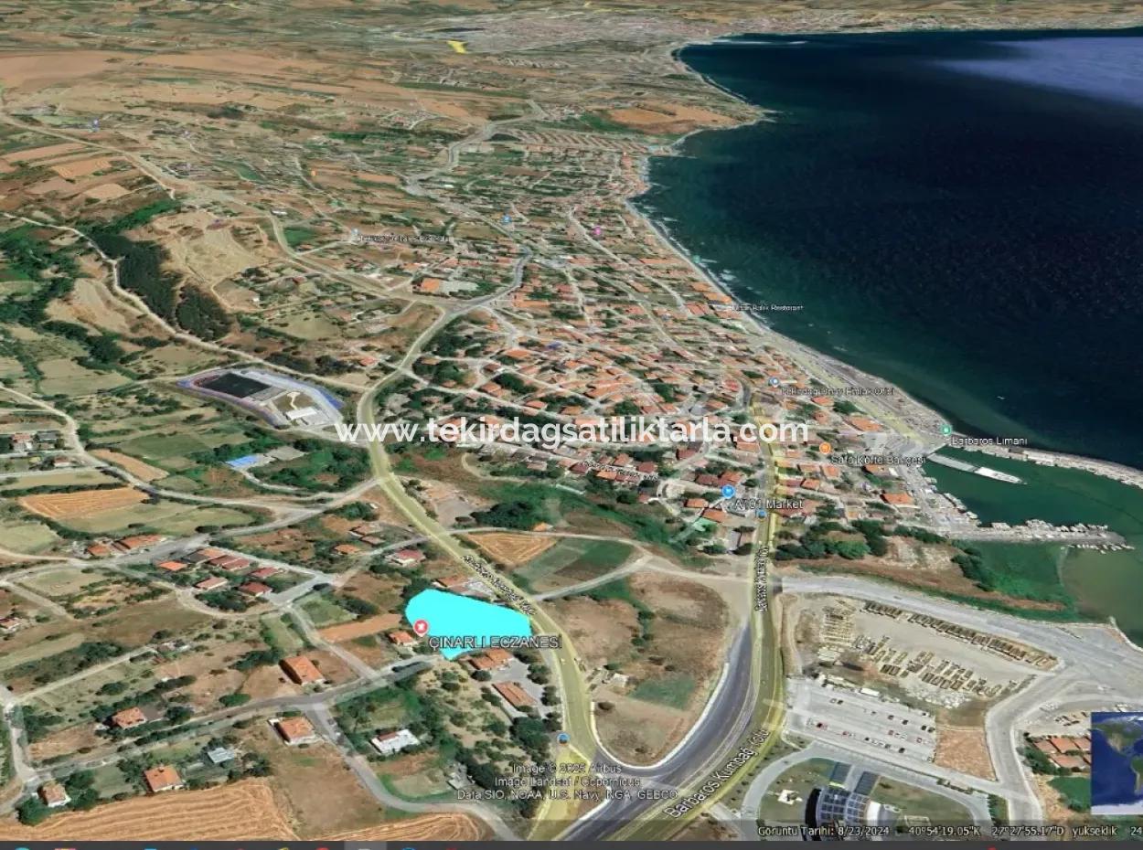 Do Not Miss This Opportunity With Its Proximity To Asyaport Port And Commercial Land