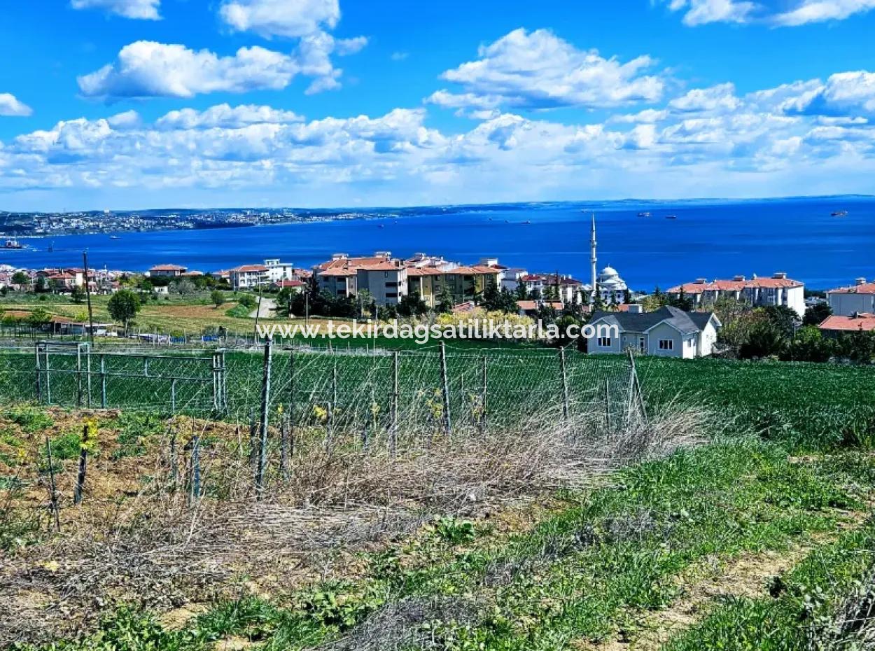 Wonderful Sea And Nature View Or Cooperative. Whether You Want To Build A Luxury Villa. 40 Flats 6.400 Residential Zoned Land