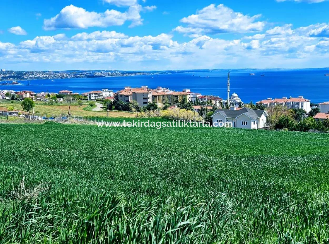 Wonderful Sea And Nature View Or Cooperative. Whether You Want To Build A Luxury Villa. 40 Flats 6.400 Residential Zoned Land