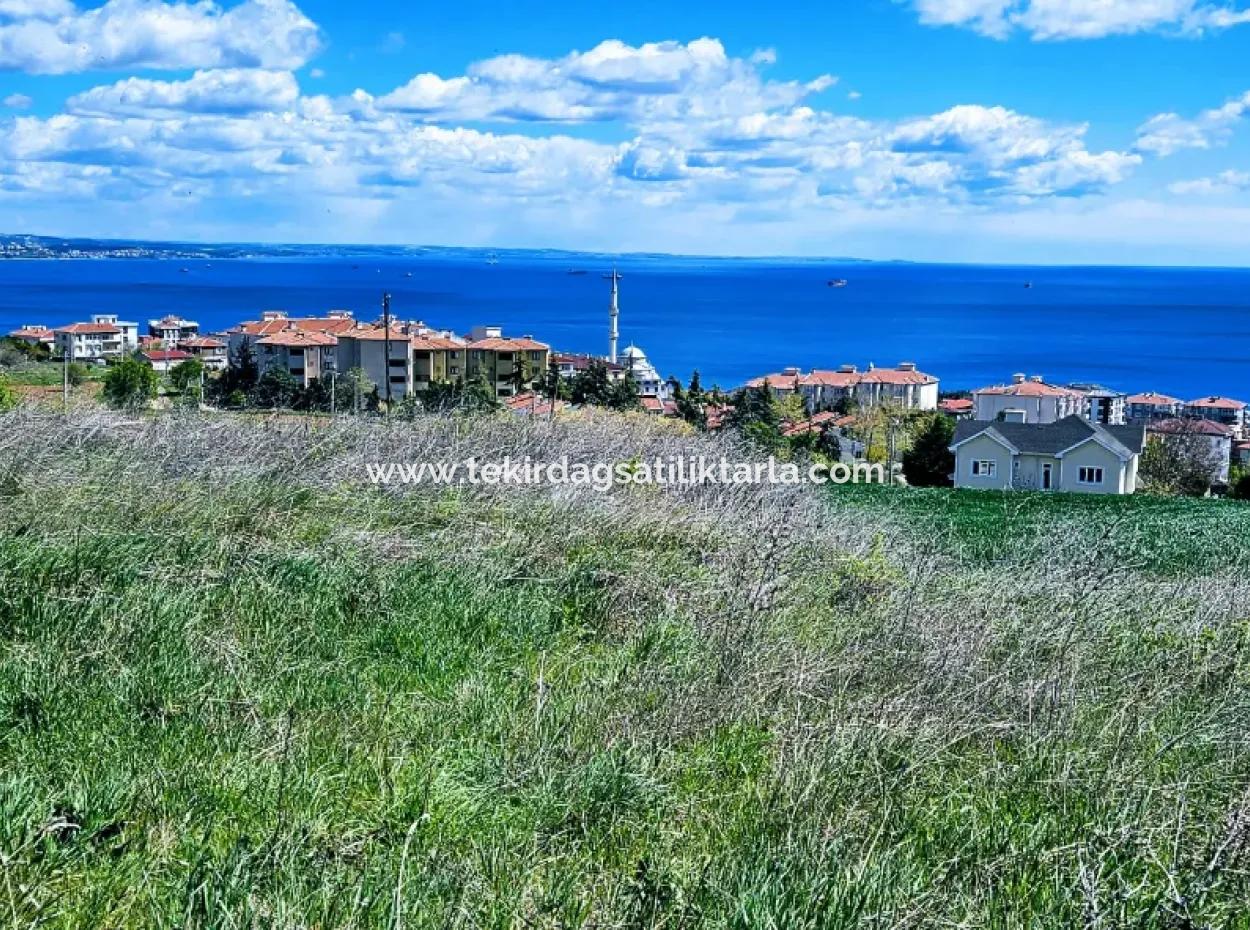 Wonderful Sea And Nature View Or Cooperative. Whether You Want To Build A Luxury Villa. 40 Flats 6.400 Residential Zoned Land