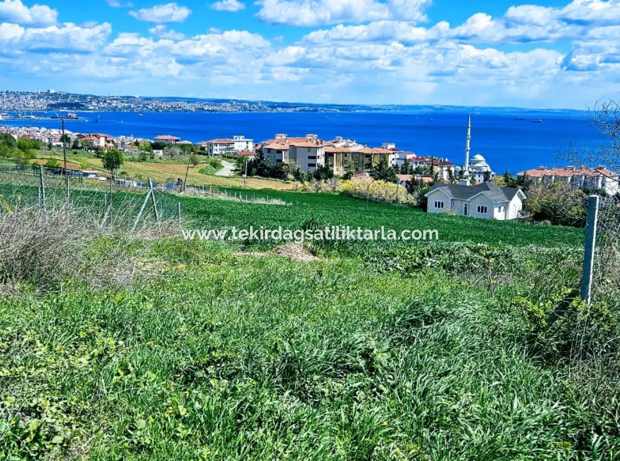 Wonderful Sea And Nature View Or Cooperative. Whether You Want To Build A Luxury Villa. 40 Flats 6.400 Residential Zoned Land