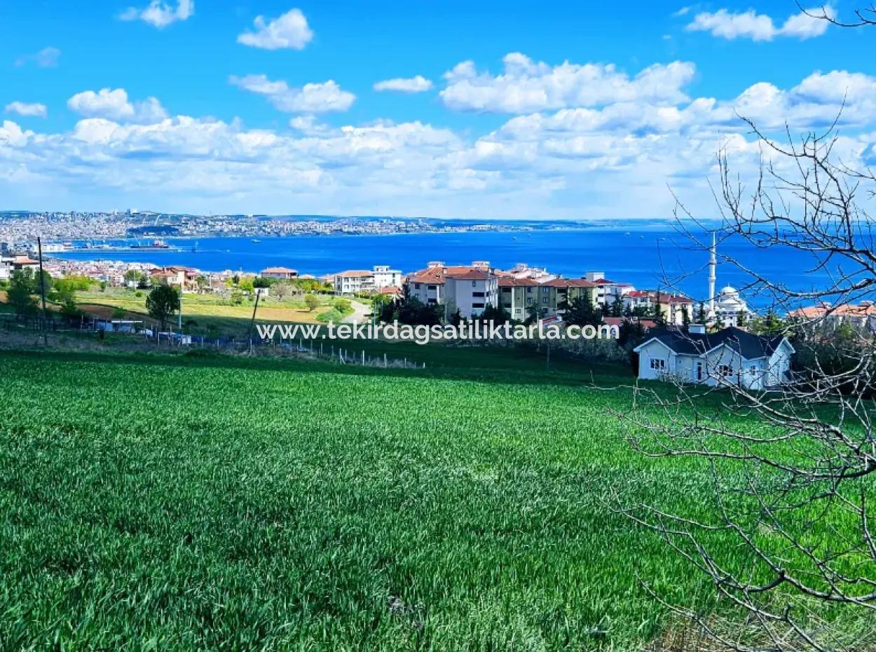 Wonderful Sea And Nature View Or Cooperative. Whether You Want To Build A Luxury Villa. 40 Flats 6.400 Residential Zoned Land