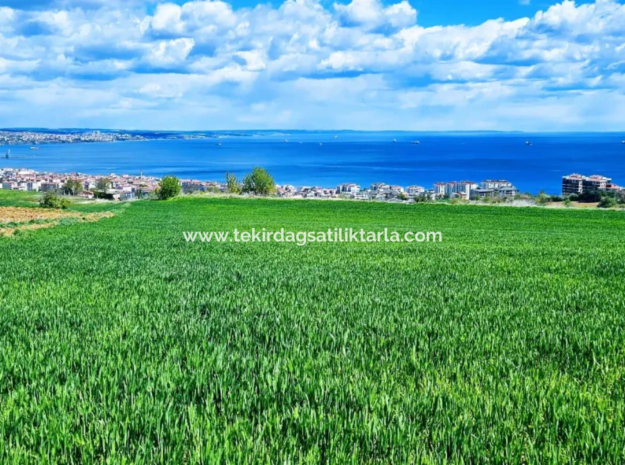 Wonderful Sea And Nature View Or Cooperative. Whether You Want To Build A Luxury Villa. 40 Flats 6.400 Residential Zoned Land