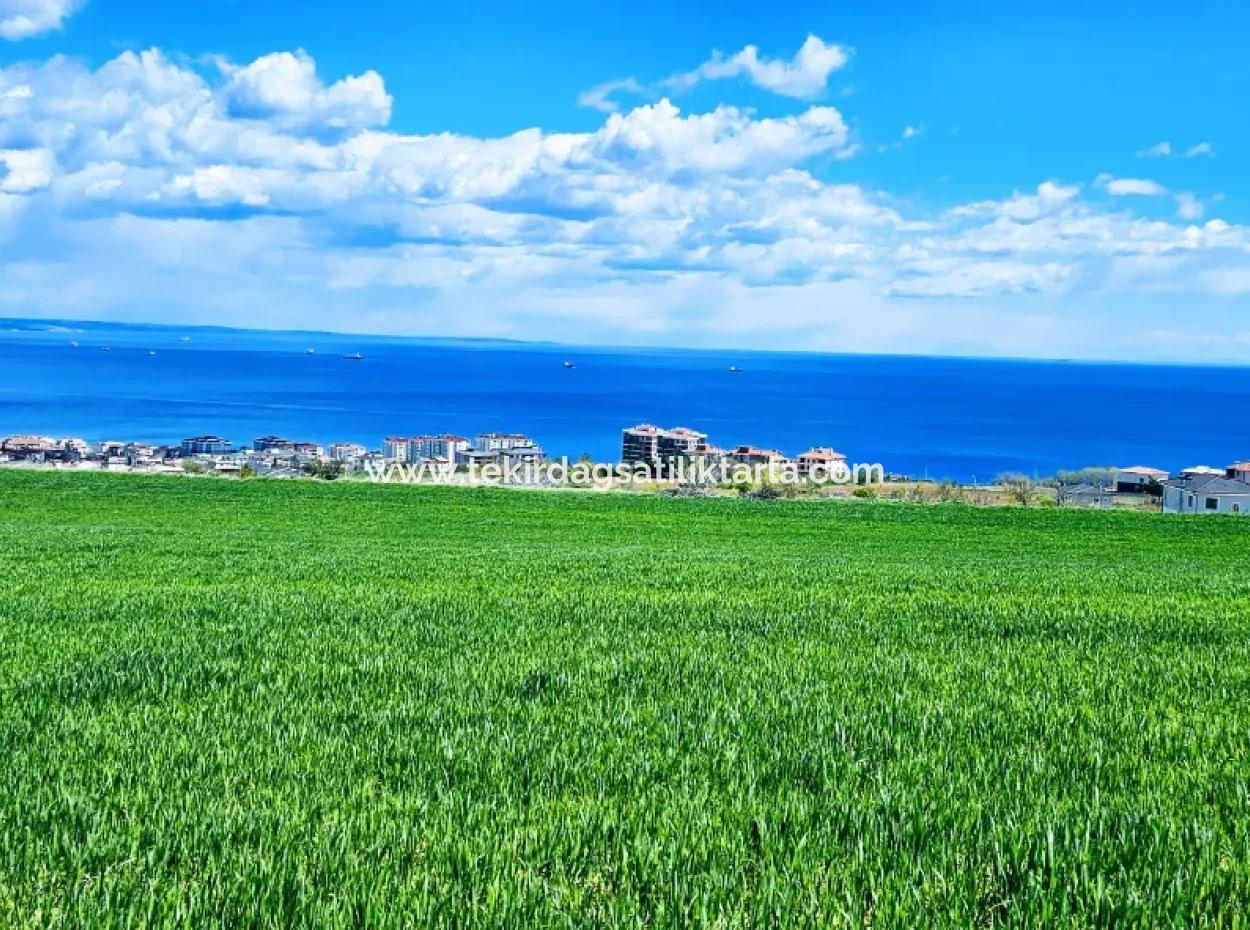 Wonderful Sea And Nature View Or Cooperative. Whether You Want To Build A Luxury Villa. 40 Flats 6.400 Residential Zoned Land