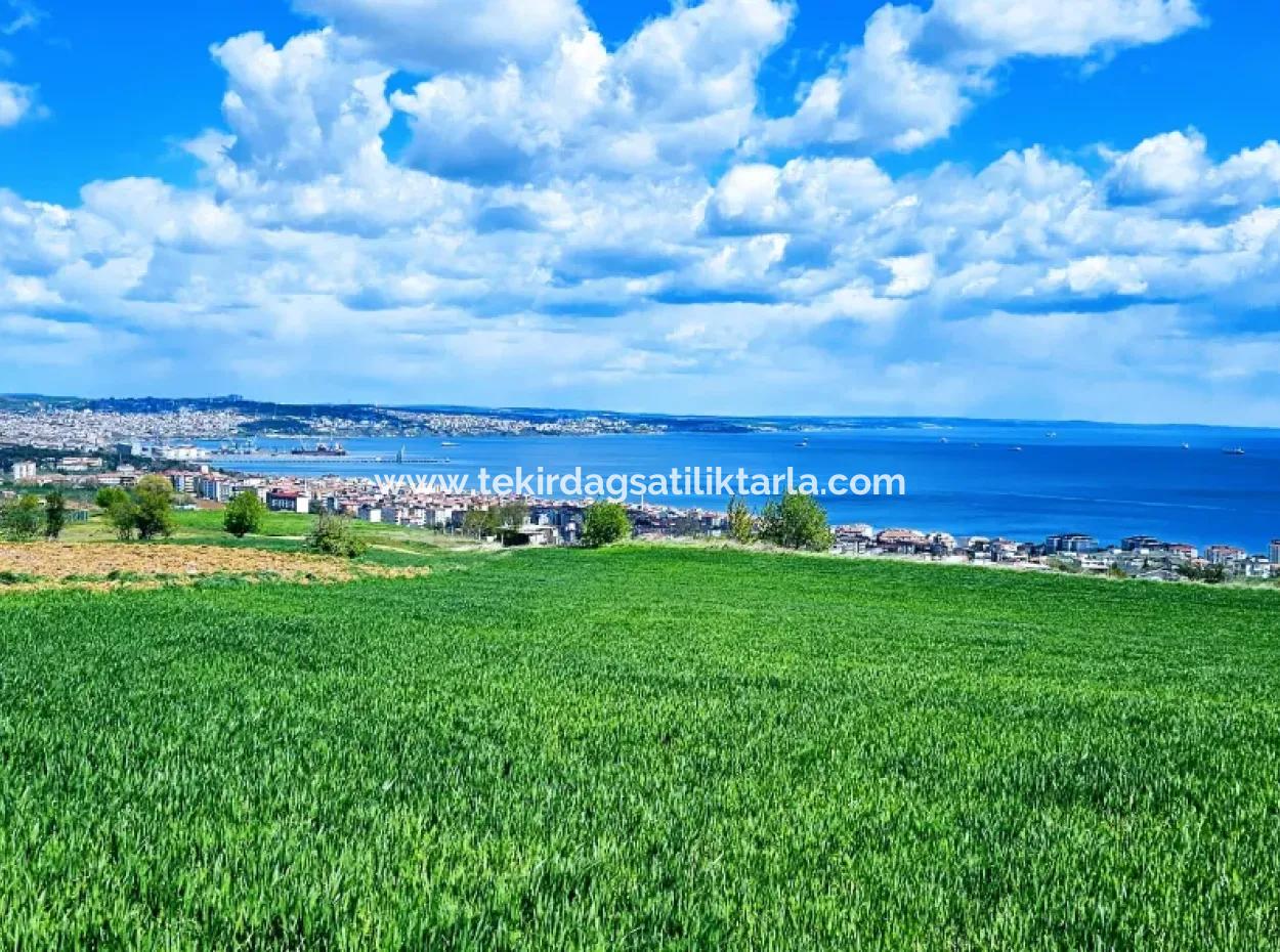 Wonderful Sea And Nature View Or Cooperative. Whether You Want To Build A Luxury Villa. 40 Flats 6.400 Residential Zoned Land